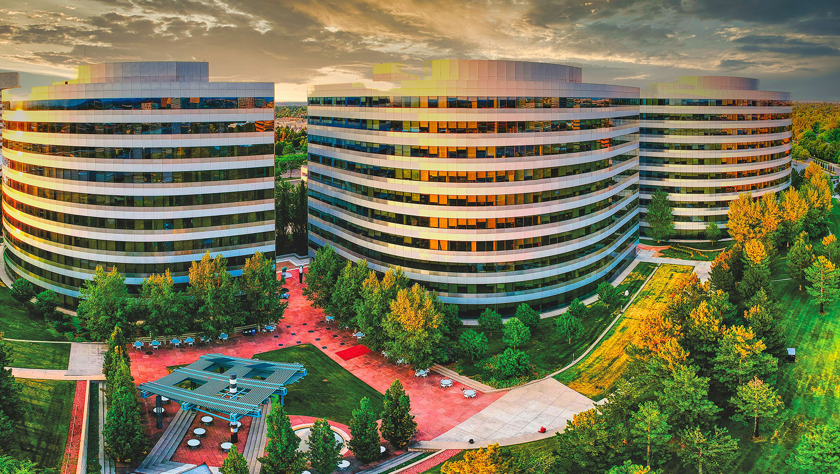 high rise building near green tress